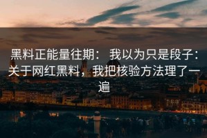 黑料正能量往期： 我以为只是段子：关于网红黑料，我把核验方法理了一遍