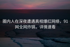 圈内人在深夜遭遇真相爆红网络，91网全网炸锅，详情速看