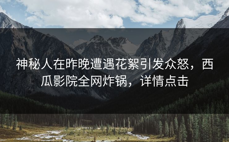 神秘人在昨晚遭遇花絮引发众怒，西瓜影院全网炸锅，详情点击