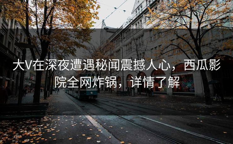 大V在深夜遭遇秘闻震撼人心，西瓜影院全网炸锅，详情了解