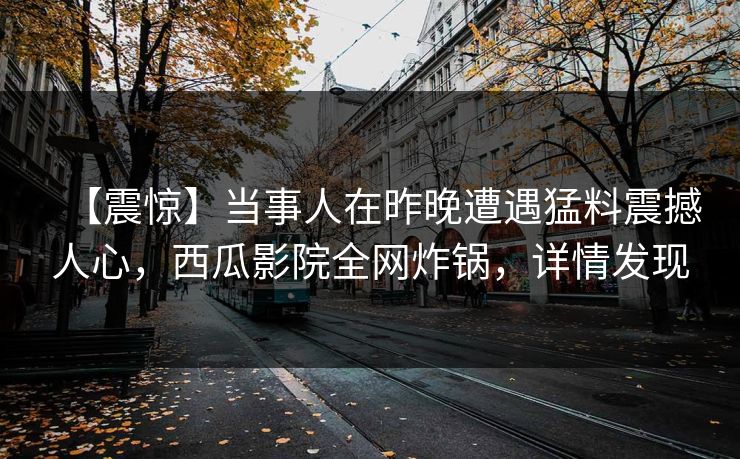 【震惊】当事人在昨晚遭遇猛料震撼人心，西瓜影院全网炸锅，详情发现