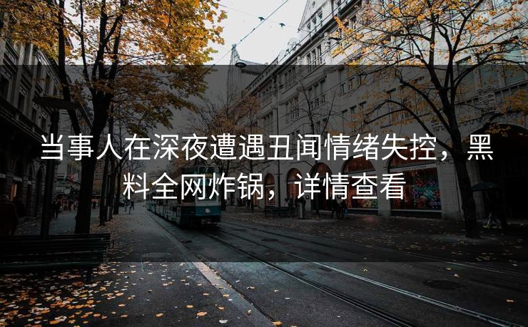 当事人在深夜遭遇丑闻情绪失控，黑料全网炸锅，详情查看